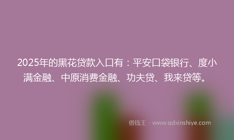 2025年的黑花贷款入口有：平安口袋银行、度小满金融、中原消费金融、功夫贷、我来贷等。
