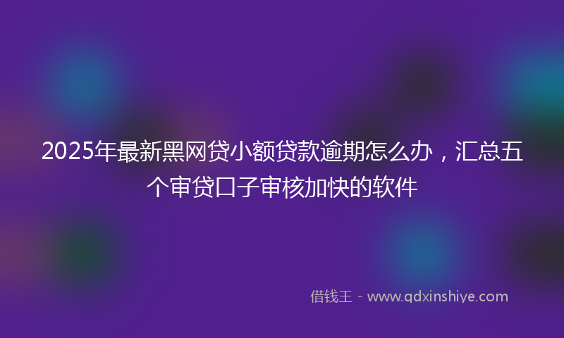 2025年最新黑网贷小额贷款逾期怎么办，汇总五个审贷口子审核加快的软件