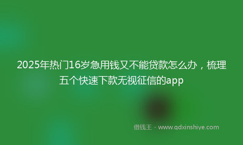 2025年热门16岁急用钱又不能贷款怎么办，梳理五个快速下款无视征信的app