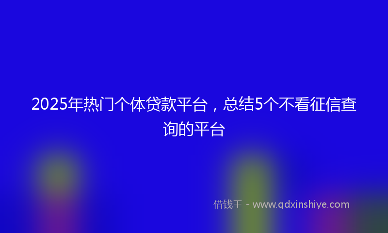 2025年热门个体贷款平台，总结5个不看征信查询的平台
