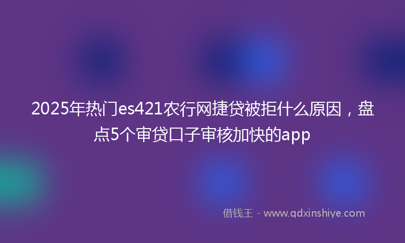 2025年热门es421农行网捷贷被拒什么原因，盘点5个审贷口子审核加快的app