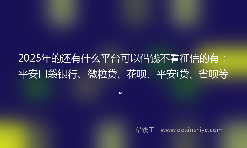 2025年的还有什么平台可以借钱不看征信的有：平安口袋银行、微粒贷、花呗、平安i贷、省呗等。