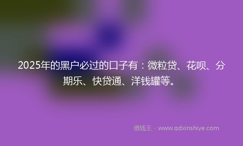 2025年的黑户必过的口子有：微粒贷、花呗、分期乐、快贷通、洋钱罐等。