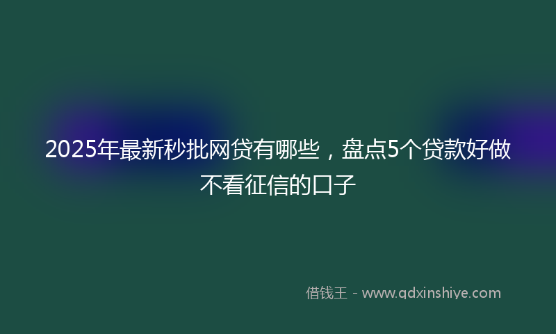 2025年最新秒批网贷有哪些，盘点5个贷款好做不看征信的口子