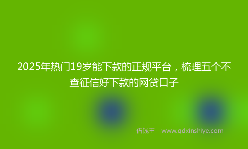 2025年热门19岁能下款的正规平台，梳理五个不查征信好下款的网贷口子
