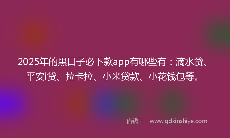 2025年的黑口子必下款app有哪些有：滴水贷、平安i贷、拉卡拉、小米贷款、小花钱包等。