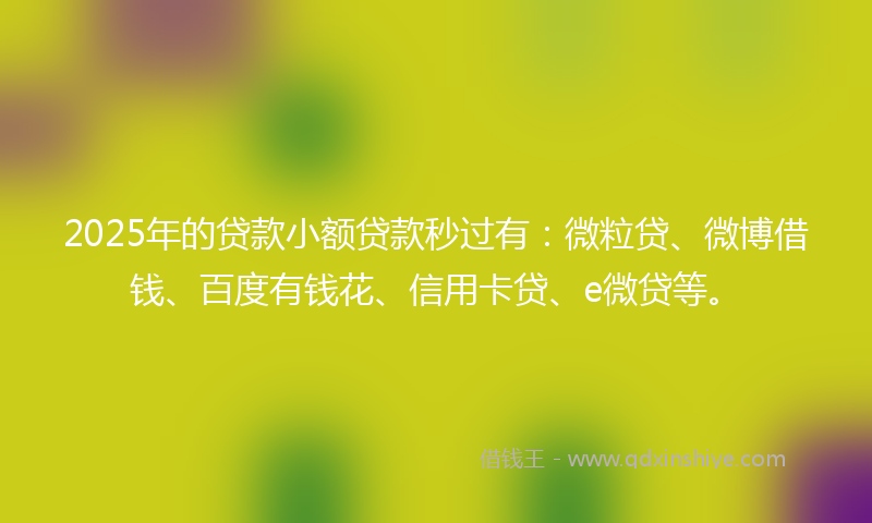 2025年的贷款小额贷款秒过有：微粒贷、微博借钱、百度有钱花、信用卡贷、e微贷等。