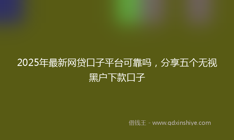 2025年最新网贷口子平台可靠吗，分享五个无视黑户下款口子