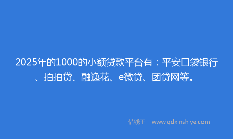 2025年的1000的小额贷款平台有：平安口袋银行、拍拍贷、融逸花、e微贷、团贷网等。