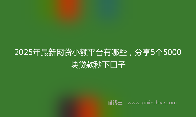 2025年最新网贷小额平台有哪些，分享5个5000块贷款秒下口子
