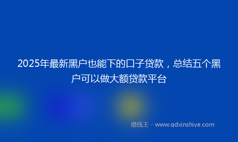 2025年最新黑户也能下的口子贷款，总结五个黑户可以做大额贷款平台