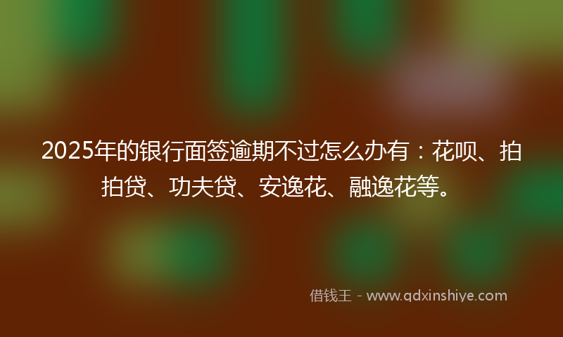 2025年的银行面签逾期不过怎么办有:花呗、拍拍贷、功夫贷、安逸花、融逸花等。
