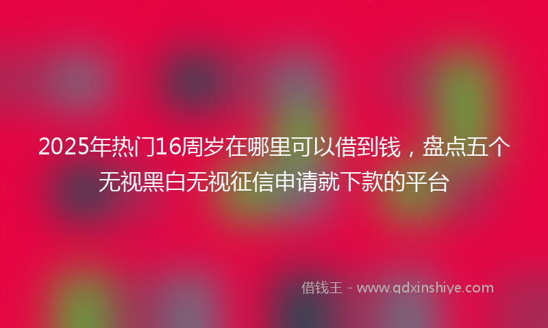 2025年热门16周岁在哪里可以借到钱，盘点五个无视黑白无视征信申请就下款的平台