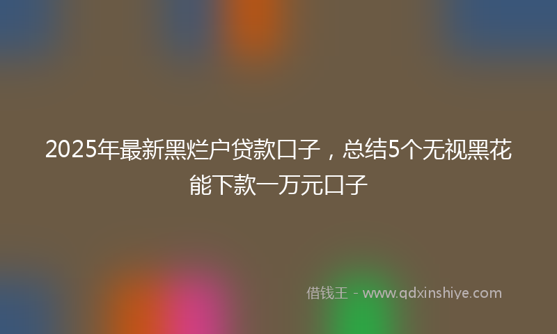 2025年最新黑烂户贷款口子，总结5个无视黑花能下款一万元口子