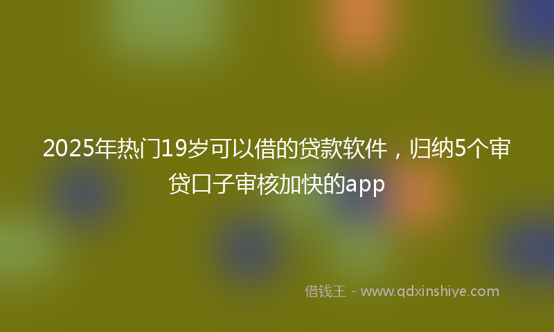 2025年热门19岁可以借的贷款软件，归纳5个审贷口子审核加快的app