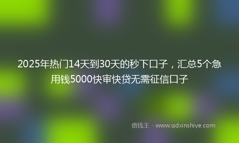 2025年热门14天到30天的秒下口子，汇总5个急用钱5000快审快贷无需征信口子