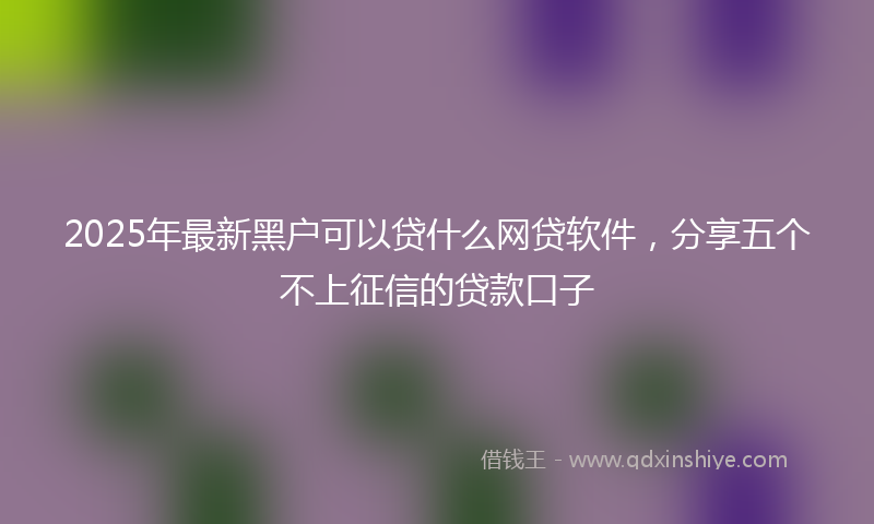 2025年最新黑户可以贷什么网贷软件，分享五个不上征信的贷款口子