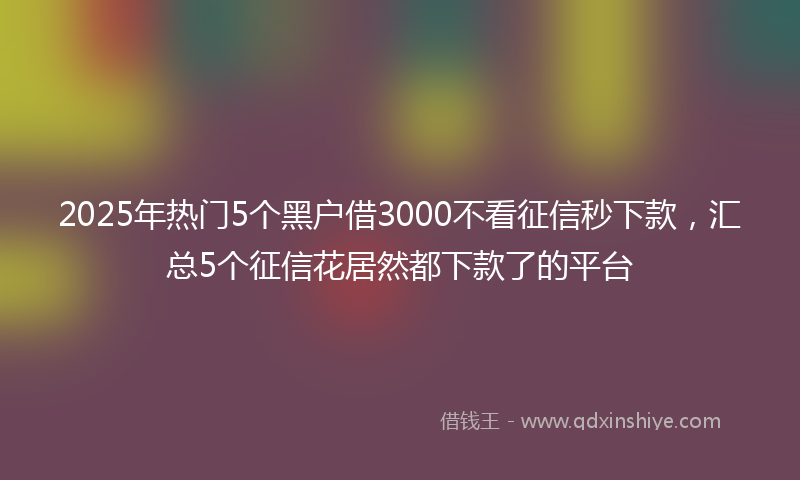 2025年热门5个黑户借3000不看征信秒下款，汇总5个征信花居然都下款了的平台