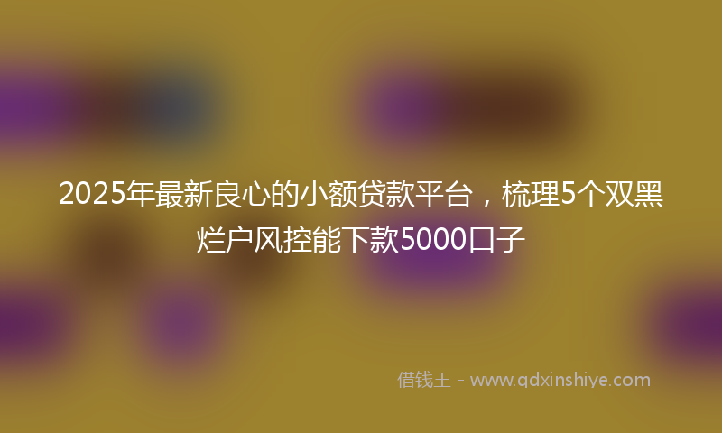 2025年最新良心的小额贷款平台，梳理5个双黑烂户风控能下款5000口子