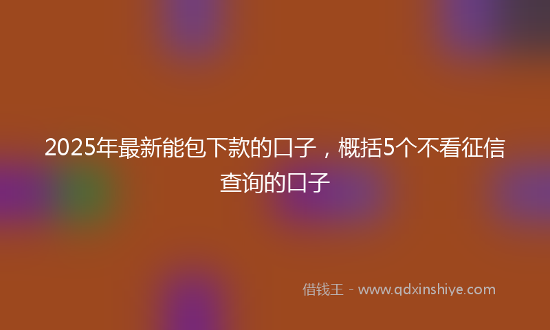 2025年最新能包下款的口子，概括5个不看征信查询的口子