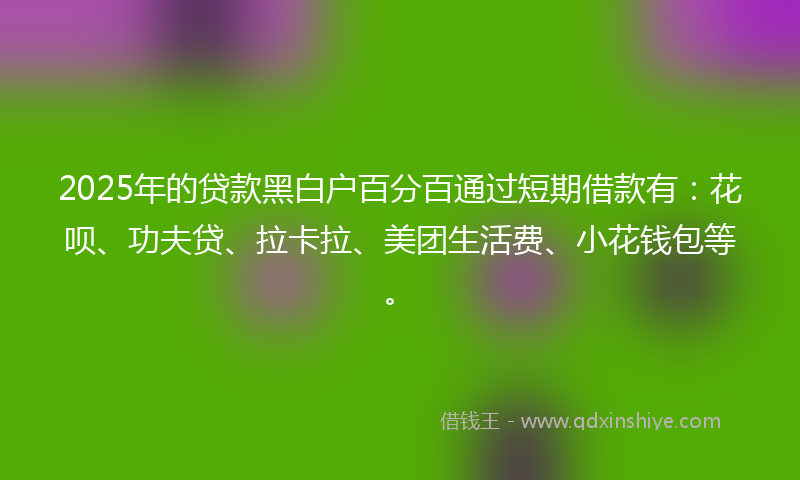 2025年的贷款黑白户百分百通过短期借款有：花呗、功夫贷、拉卡拉、美团生活费、小花钱包等。