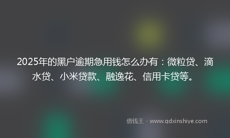 2025年的黑户逾期急用钱怎么办有：微粒贷、滴水贷、小米贷款、融逸花、信用卡贷等。