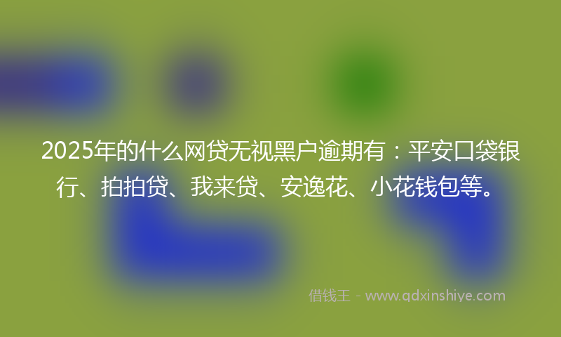 2025年的什么网贷无视黑户逾期有：平安口袋银行、拍拍贷、我来贷、安逸花、小花钱包等。