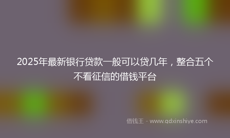 2025年最新银行贷款一般可以贷几年，整合五个不看征信的借钱平台