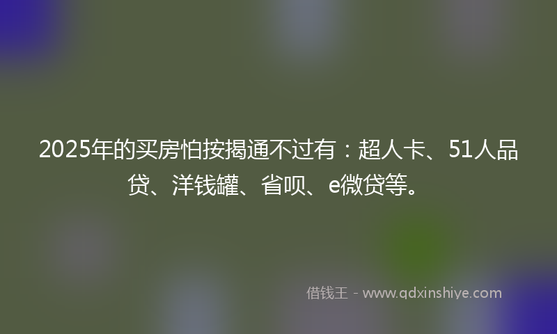 2025年的买房怕按揭通不过有：超人卡、51人品贷、洋钱罐、省呗、e微贷等。