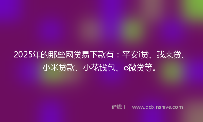 2025年的那些网贷易下款有：平安i贷、我来贷、小米贷款、小花钱包、e微贷等。