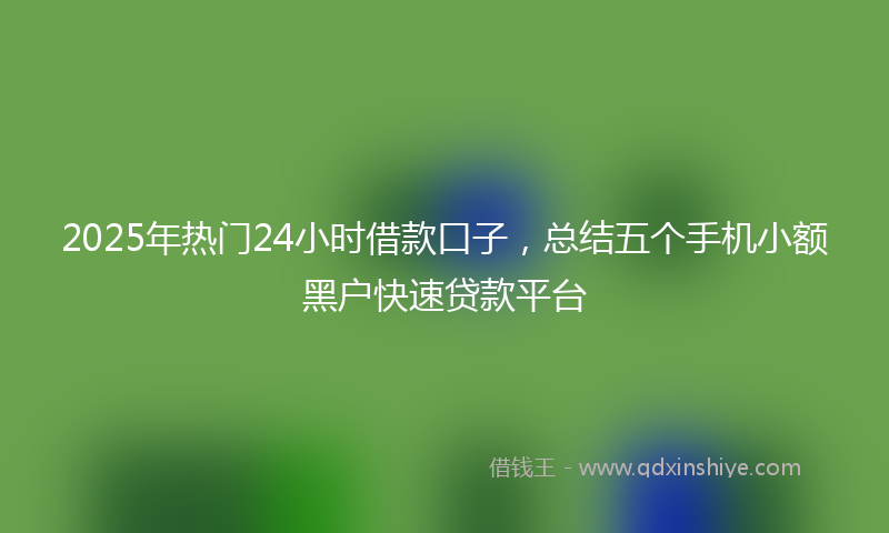 2025年热门24小时借款口子，总结五个手机小额黑户快速贷款平台