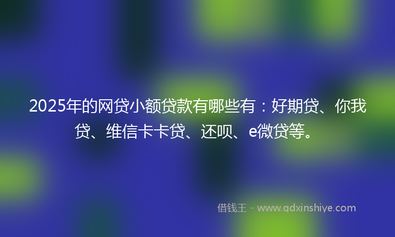 2025年的网贷小额贷款有哪些有：好期贷、你我贷、维信卡卡贷、还呗、e微贷等。