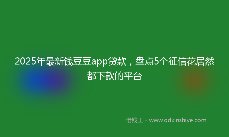 2025年最新钱豆豆app贷款，盘点5个征信花居然都下款的平台