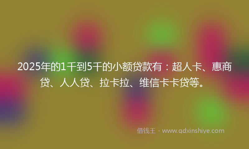 2025年的1千到5千的小额贷款有：超人卡、惠商贷、人人贷、拉卡拉、维信卡卡贷等。