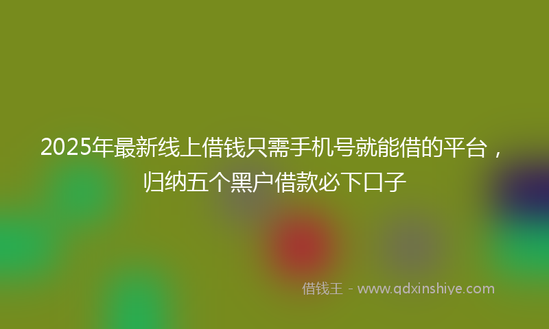 2025年最新线上借钱只需手机号就能借的平台，归纳五个黑户借款必下口子