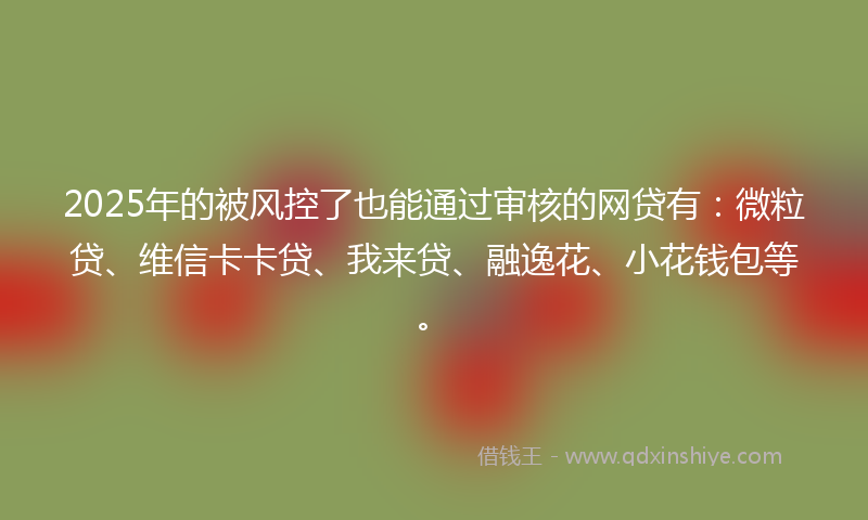 2025年的被风控了也能通过审核的网贷有：微粒贷、维信卡卡贷、我来贷、融逸花、小花钱包等。