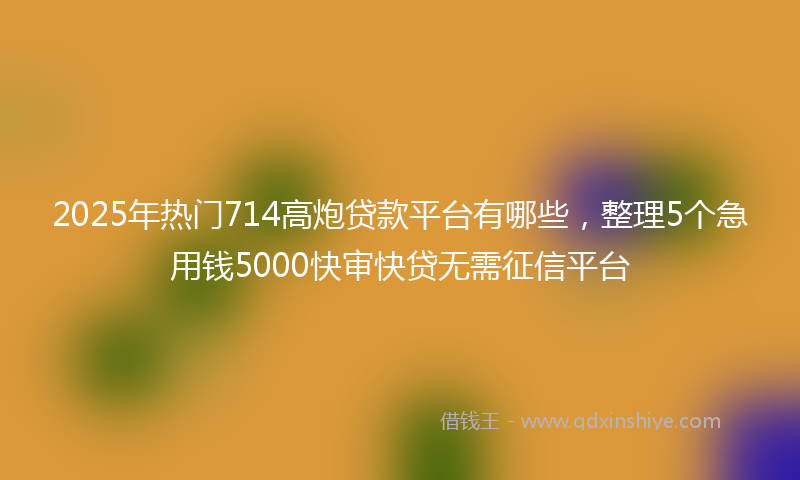 2025年热门714高炮贷款平台有哪些，整理5个急用钱5000快审快贷无需征信平台