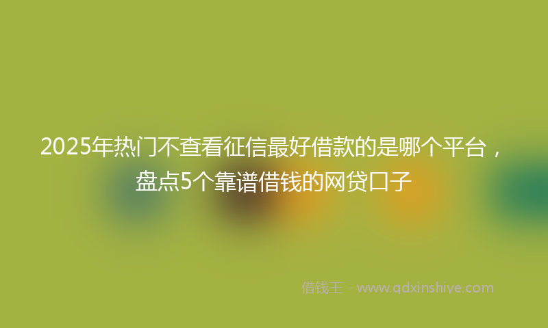 2025年热门不查看征信最好借款的是哪个平台，盘点5个靠谱借钱的网贷口子