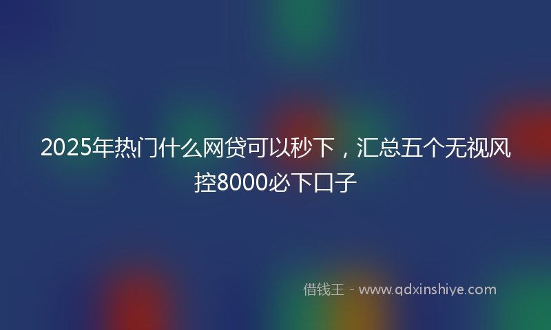 2025年热门什么网贷可以秒下，汇总五个无视风控8000必下口子
