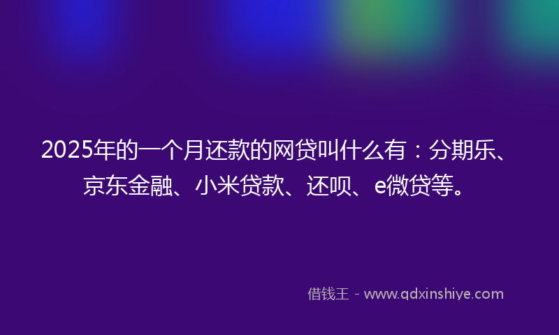 2025年的一个月还款的网贷叫什么有：分期乐、京东金融、小米贷款、还呗、e微贷等。