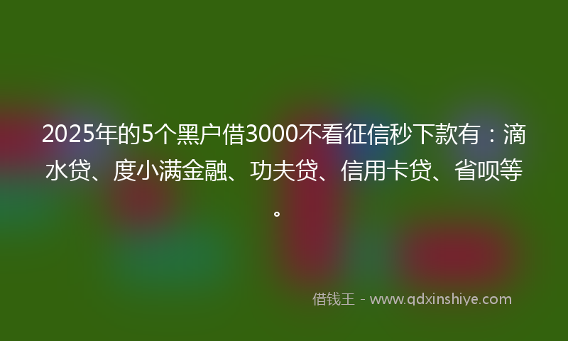 2025年的5个黑户借3000不看征信秒下款有：滴水贷、度小满金融、功夫贷、信用卡贷、省呗等。