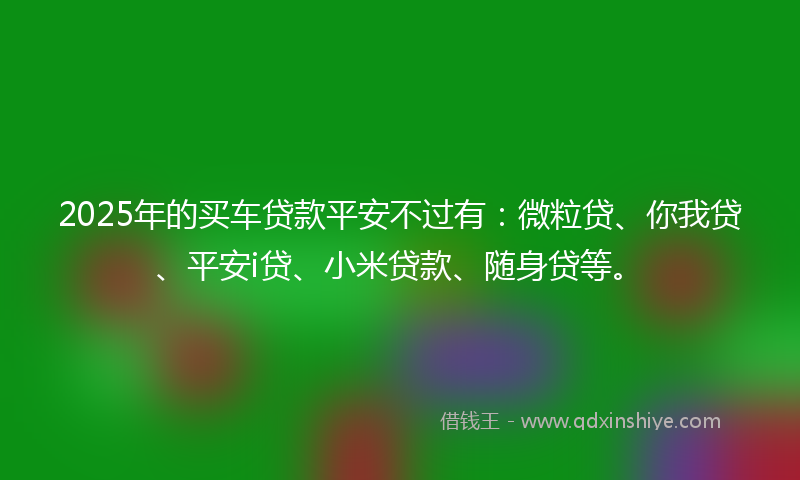2025年的买车贷款平安不过有：微粒贷、你我贷、平安i贷、小米贷款、随身贷等。