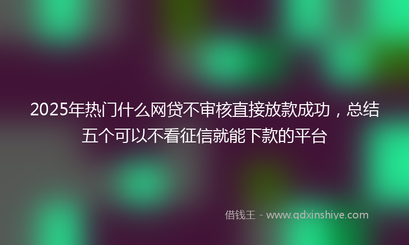 2025年热门什么网贷不审核直接放款成功，总结五个可以不看征信就能下款的平台