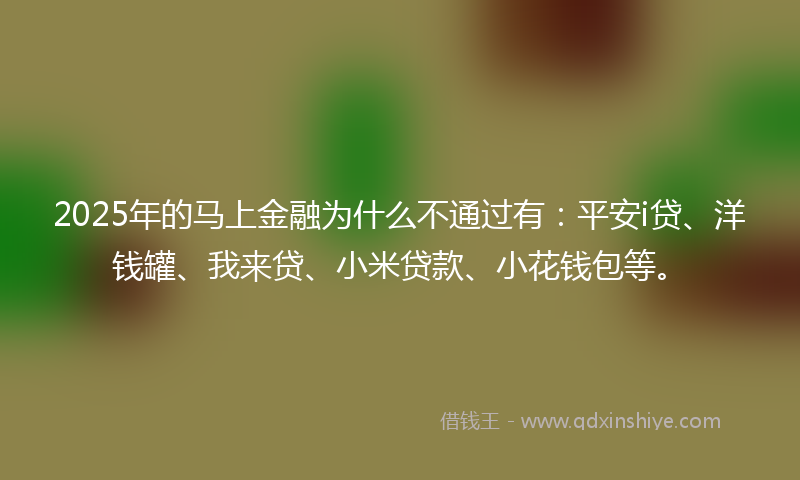 2025年的马上金融为什么不通过有：平安i贷、洋钱罐、我来贷、小米贷款、小花钱包等。