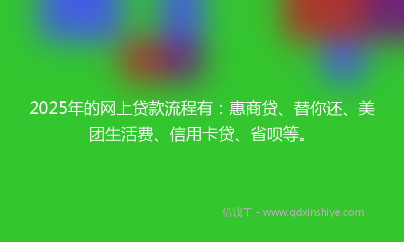 2025年的网上贷款流程有：惠商贷、替你还、美团生活费、信用卡贷、省呗等。