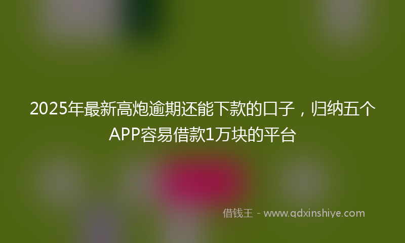 2025年最新高炮逾期还能下款的口子,归纳五个APP容易借款1万块的平台
