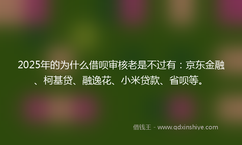2025年的为什么借呗审核老是不过有：京东金融、柯基贷、融逸花、小米贷款、省呗等。
