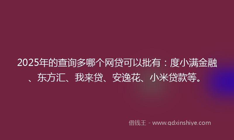 2025年的查询多哪个网贷可以批有：度小满金融、东方汇、我来贷、安逸花、小米贷款等。
