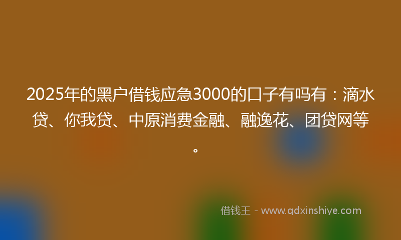 2025年的黑户借钱应急3000的口子有吗有：滴水贷、你我贷、中原消费金融、融逸花、团贷网等。
