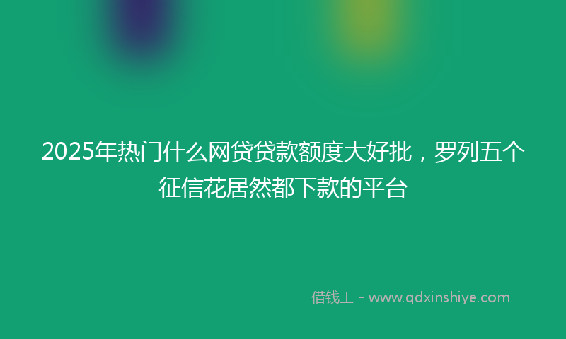 2025年热门什么网贷贷款额度大好批，罗列五个征信花居然都下款的平台